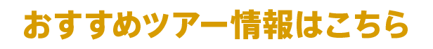 おすすめツアー情報はこちら