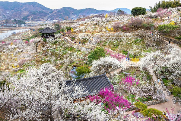 KTOウラジオストク支社おすすめ：光陽